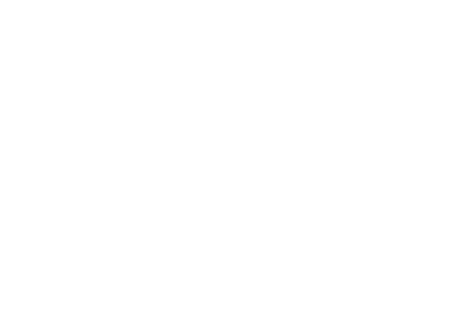 Charly logo
